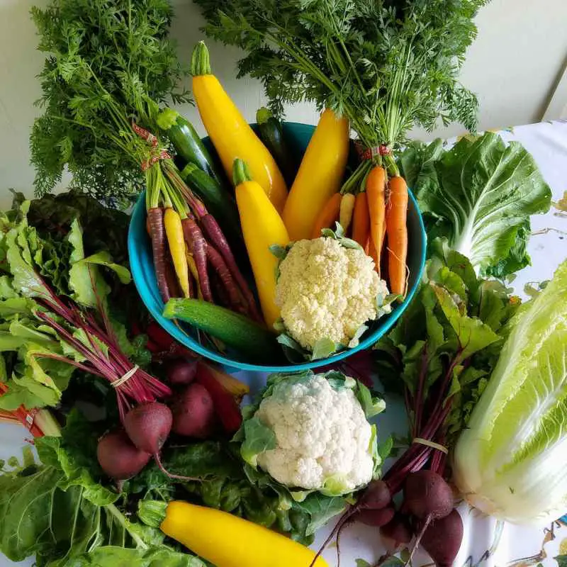 assorted vegetables