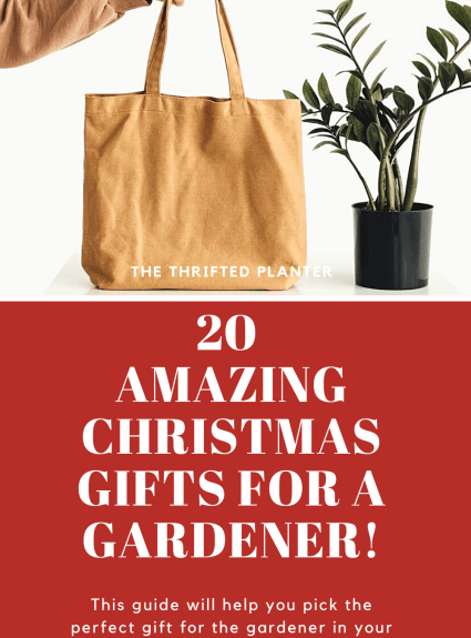 Christmas gift ideas for a gardener