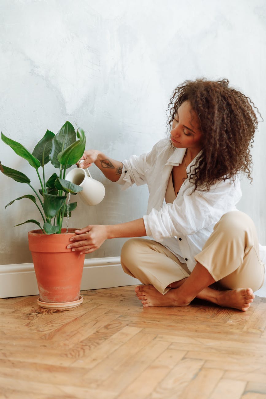 woman waters plant in pot