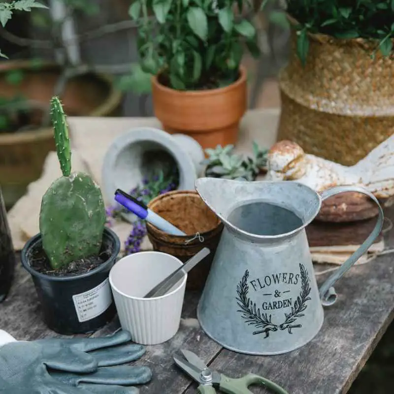 table with various gardening equipment