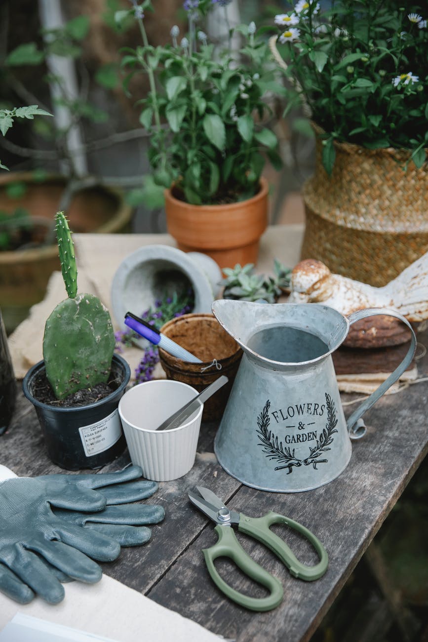 table with various gardening equipment