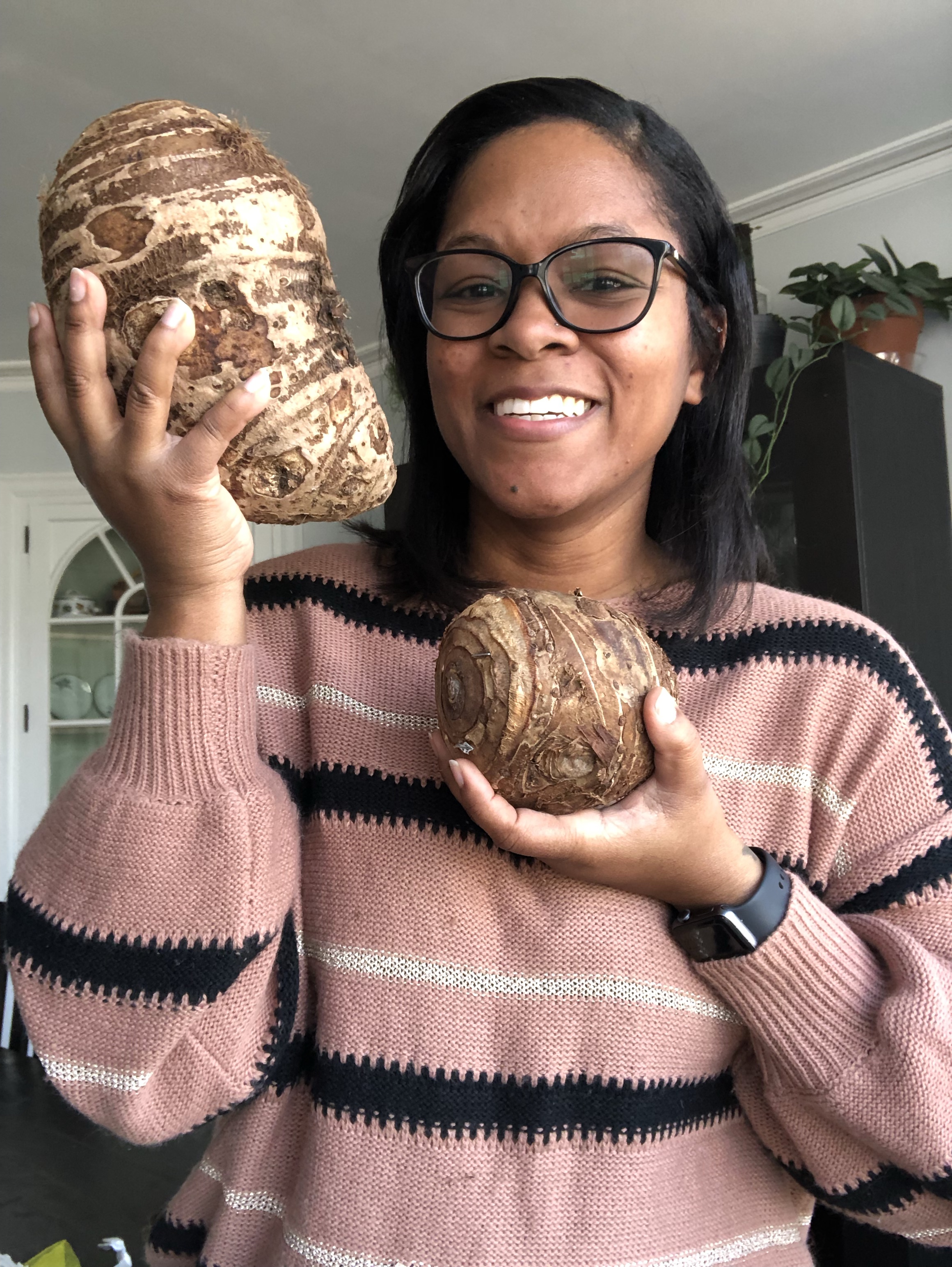 Elephant Ear Bulbs