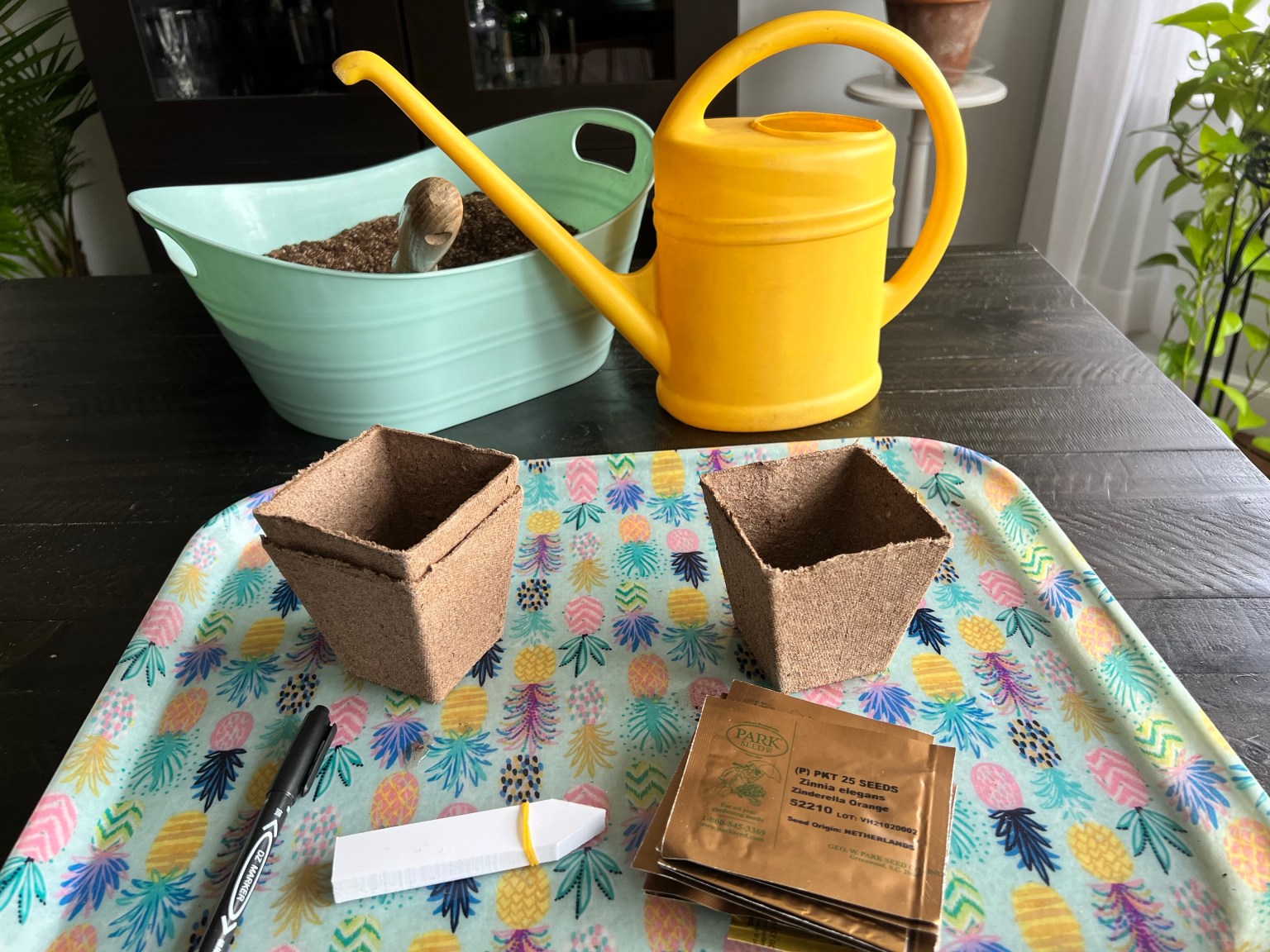 How to Start and Grow Zinnia Seeds Indoors The Thrifted Planter