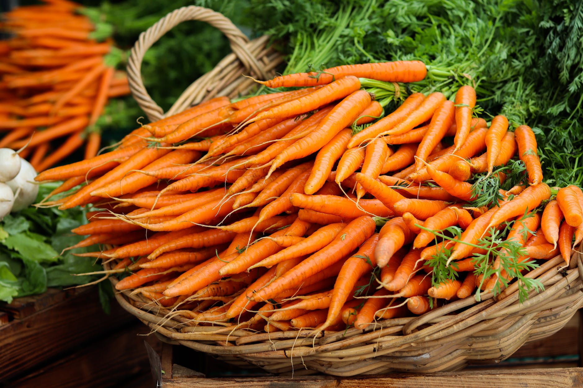 orange carrots on brown woven basket. Fall Garden