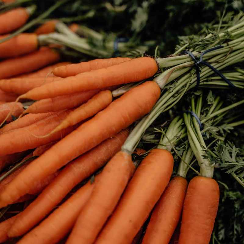 orange carrots in close up photography