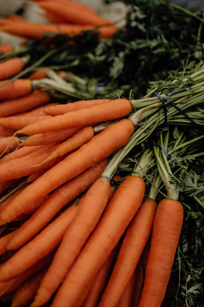 orange carrots in close up photography