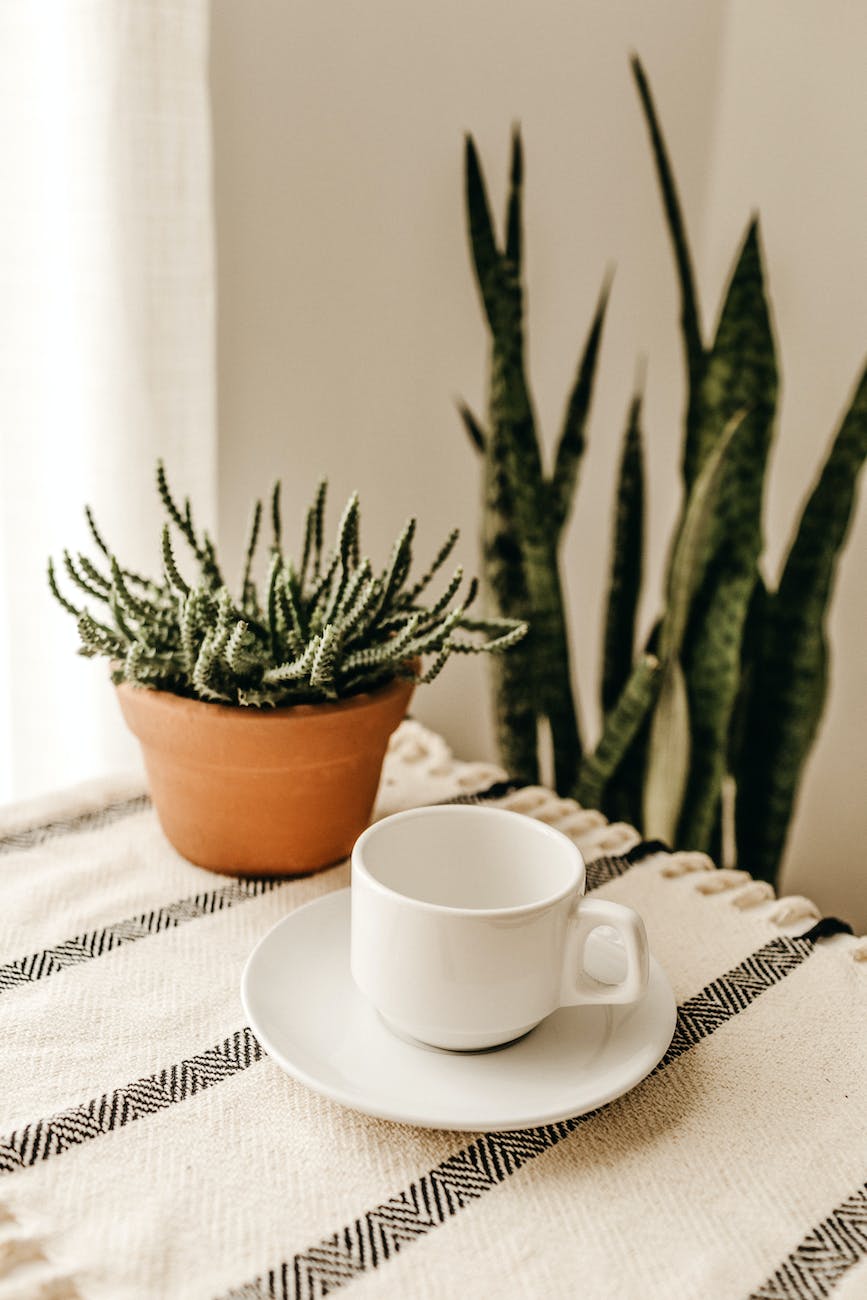 white cup with saucer