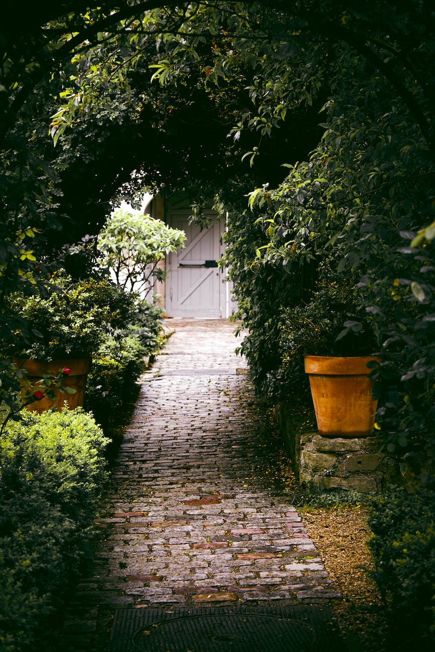 gray concrete pathway between plants