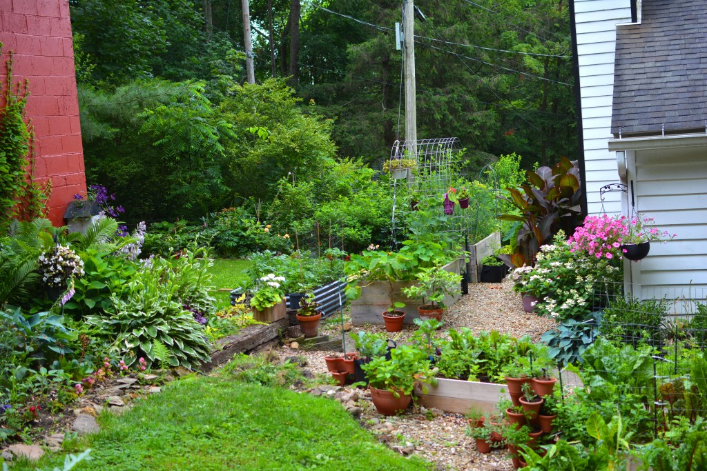 Garden View with raised garden beds