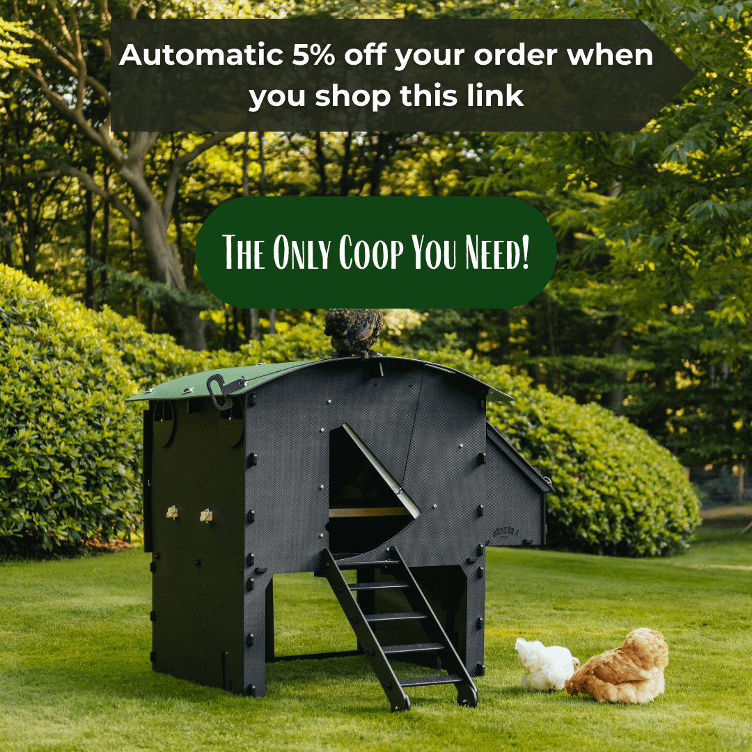 Nestera Chicken Coop