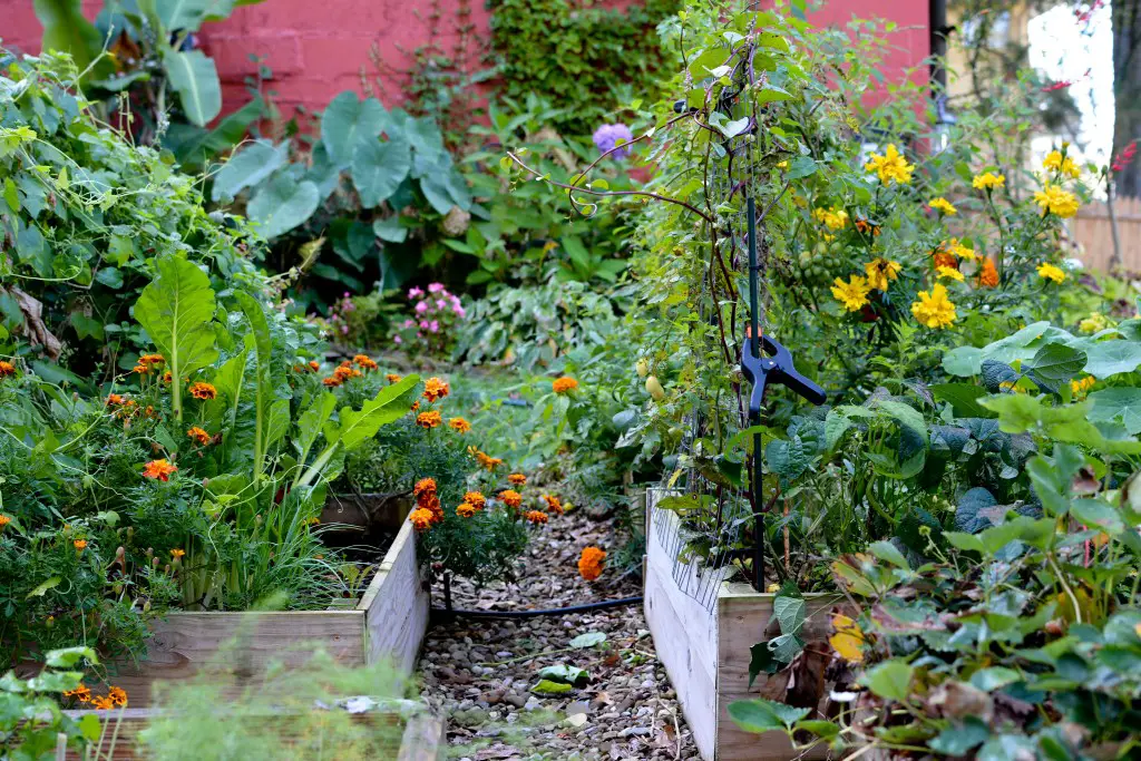 Raised bed gardening