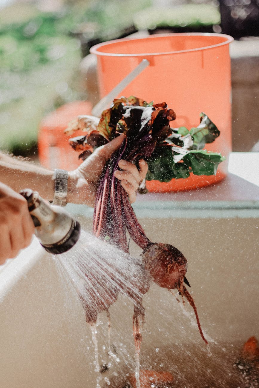 cleaning vegetables