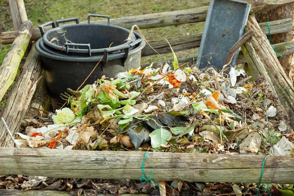 Is mold good for compost