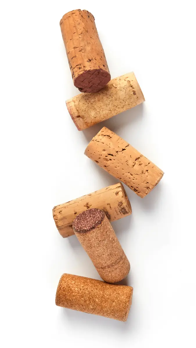 Can you Compost Cork? A Composting guide for Cork Products The