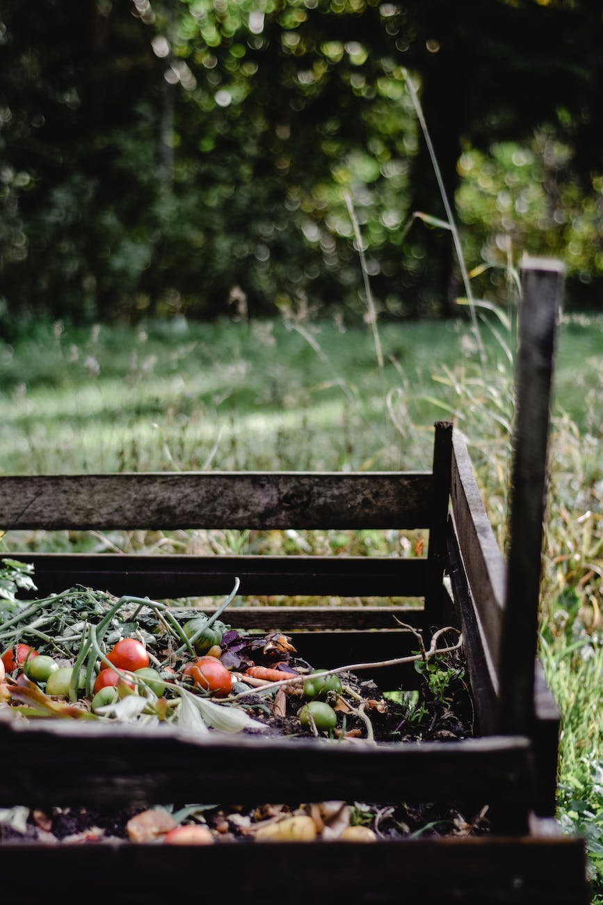 vegetables on the soil