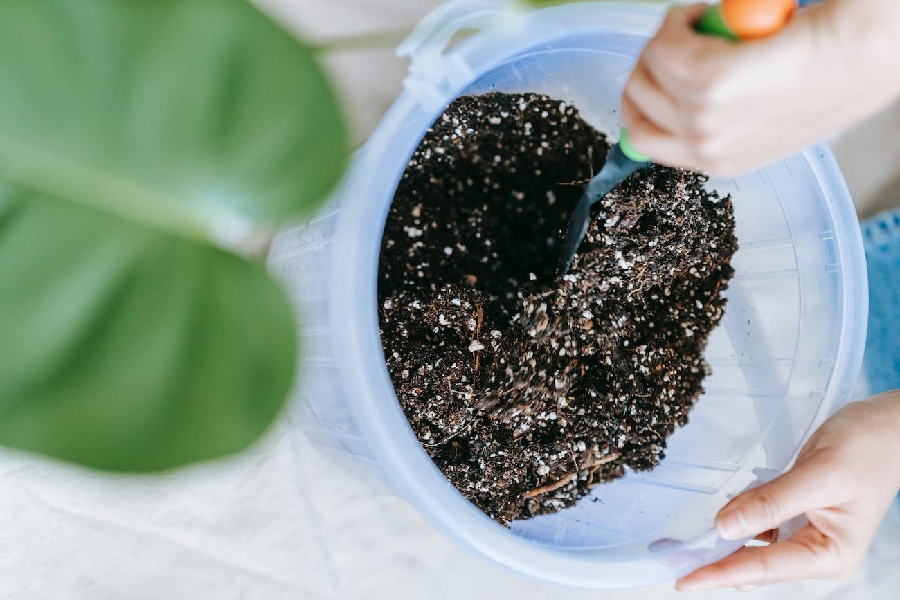 woman preparing soil for planting houseplant