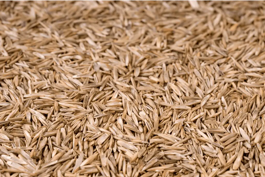 best grass for clay soil