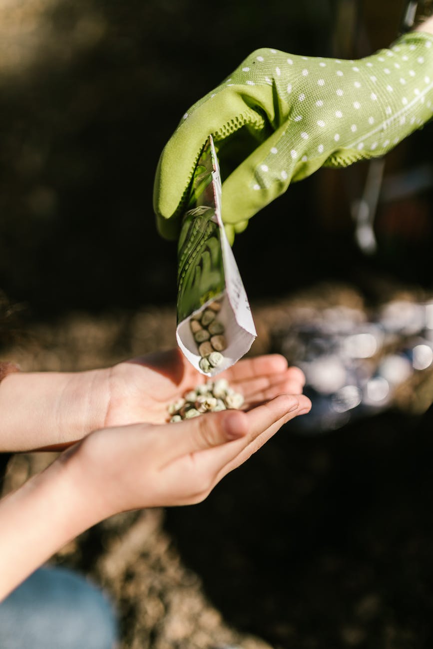 person pouring a packet of seeds on child s hands