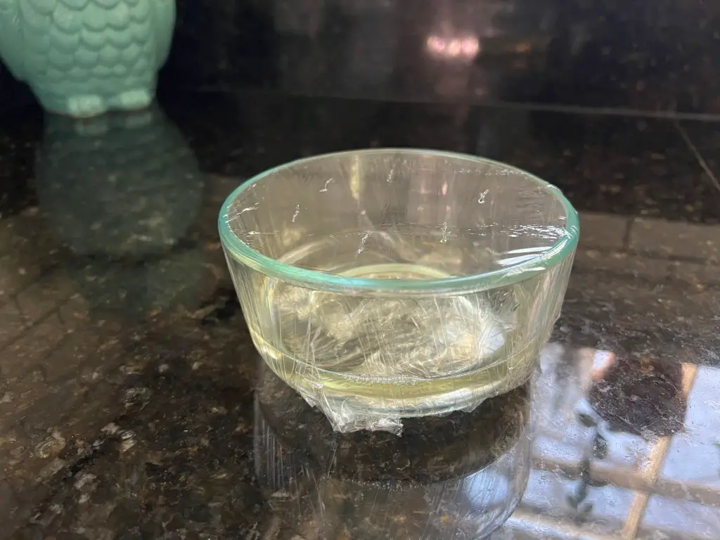 How to get rid of fruit flies in your house plant