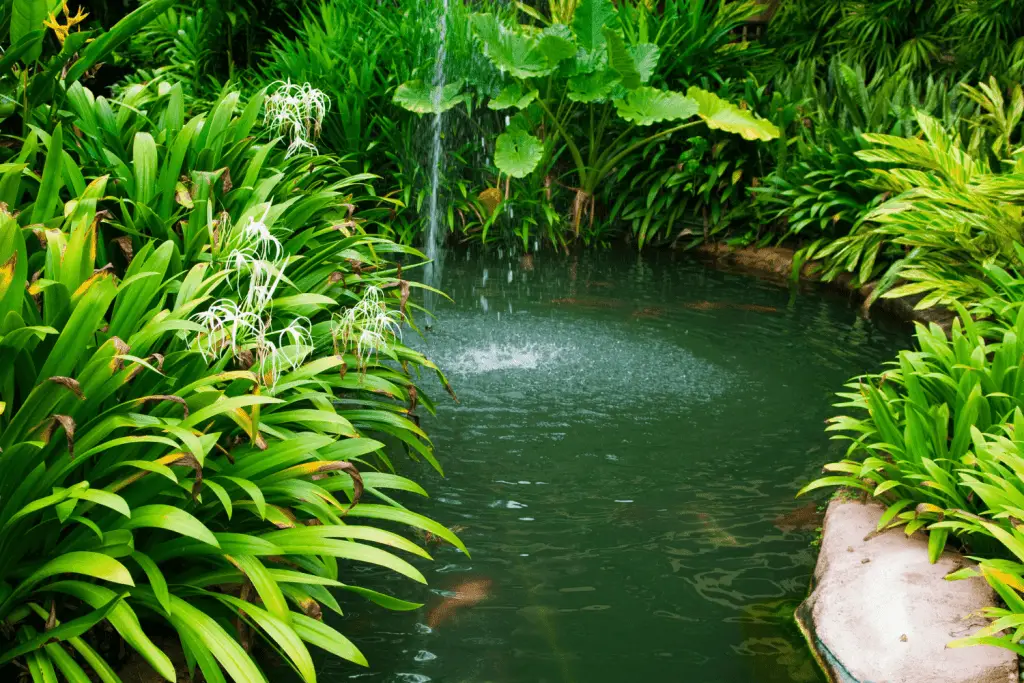 Backyard Tropical Garden Ideas