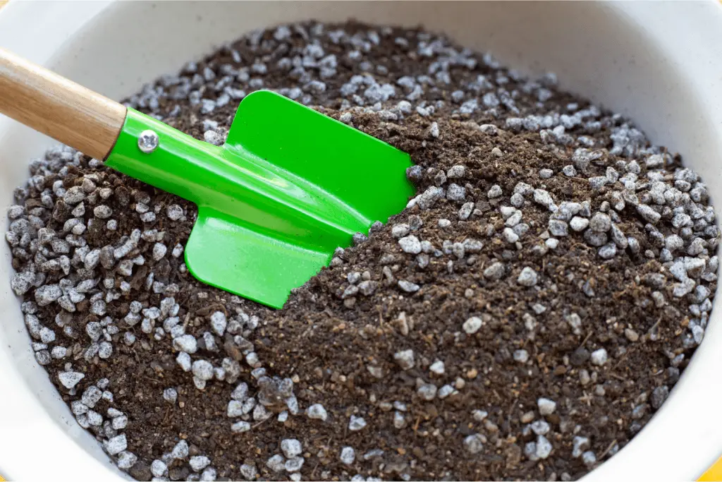 potting soil for peppers