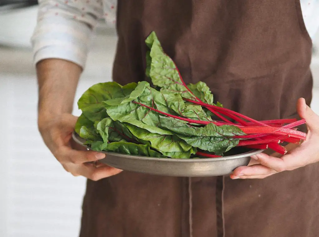 person holding green vegetable on stainless round plate