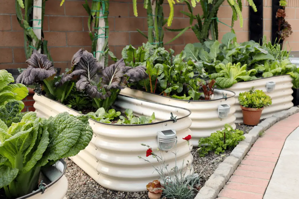 vego garden beds. Photo courtesy of Vego Gardens