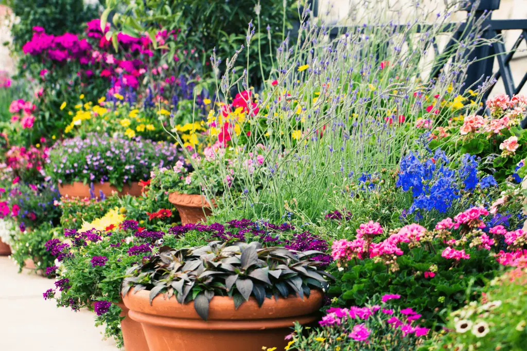 small space gardening ideas
