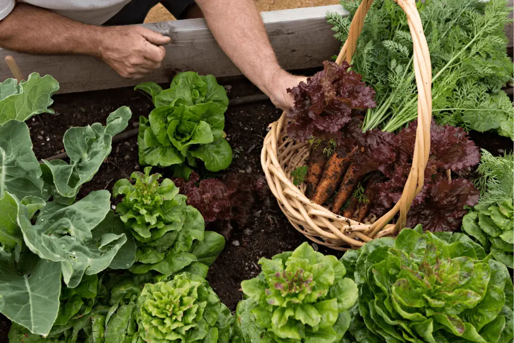 small space gardening ideas