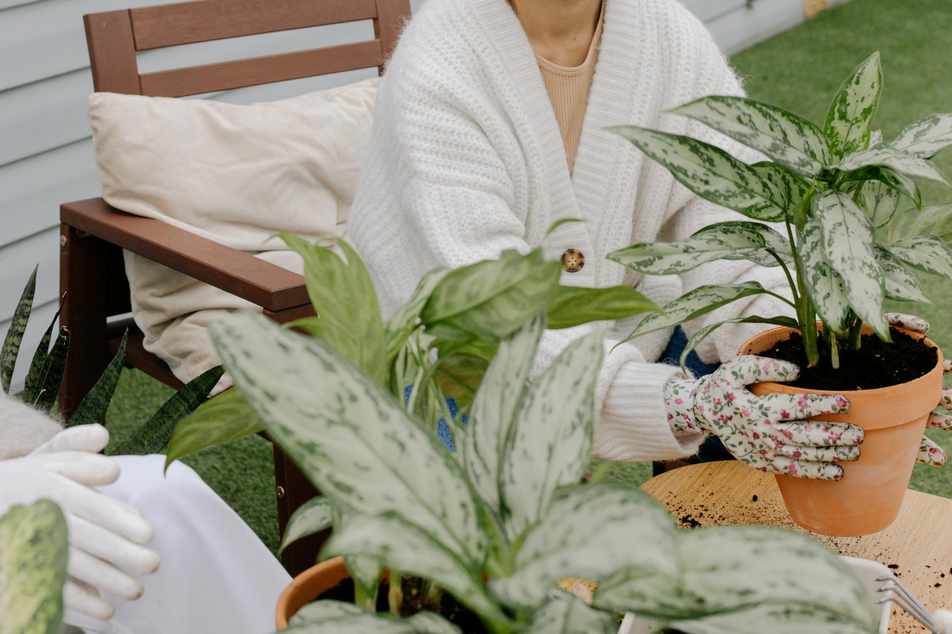 woman in white cardigan holding a potted plant