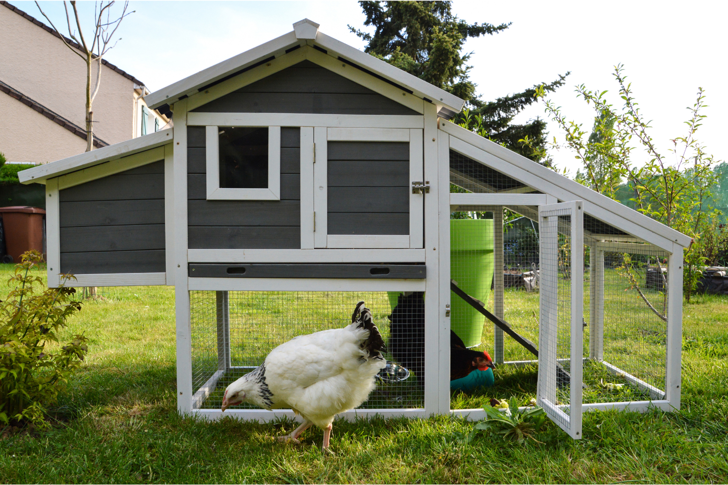 chicken coop