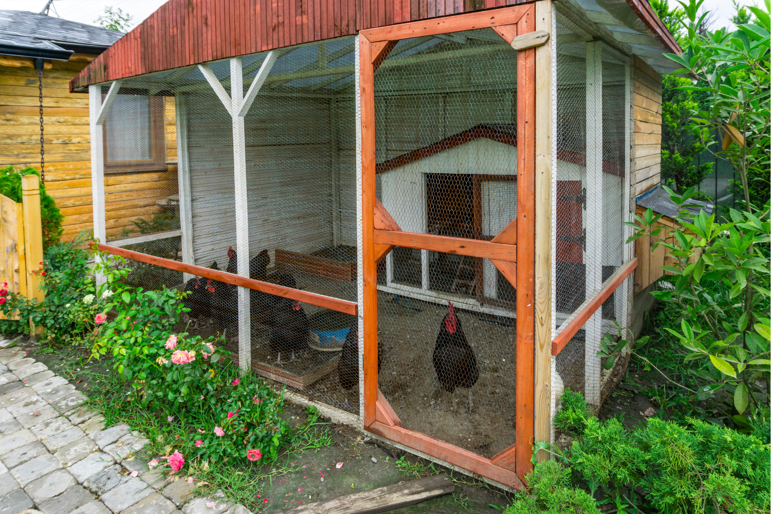chicken coop