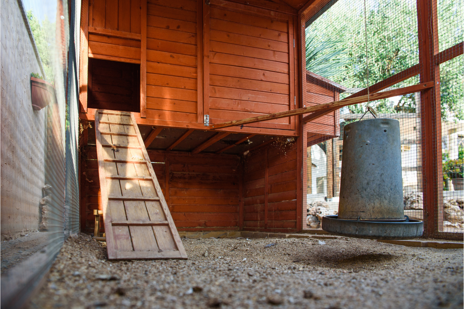 chicken Coop