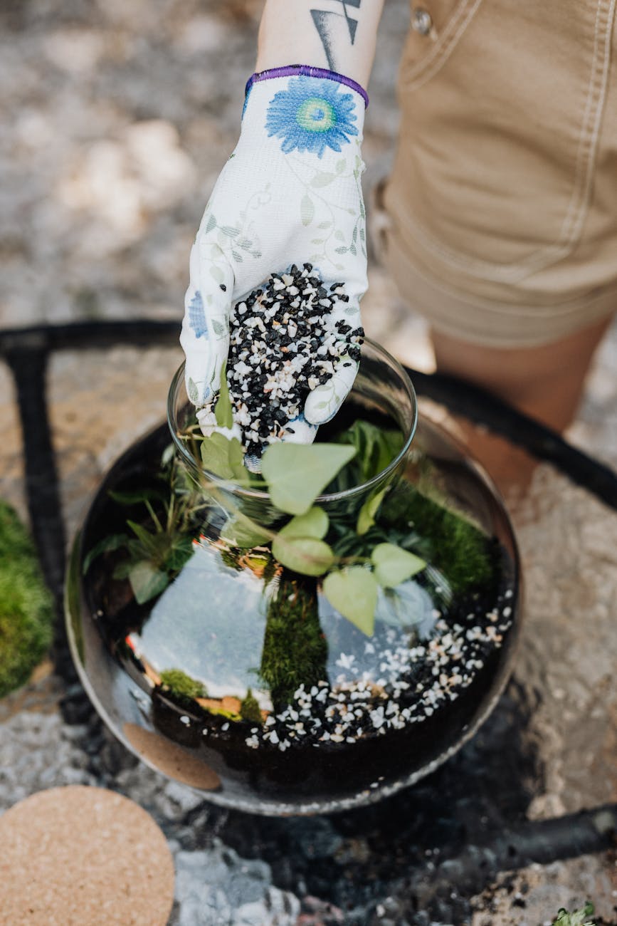 person putting stones on a clear glass vase