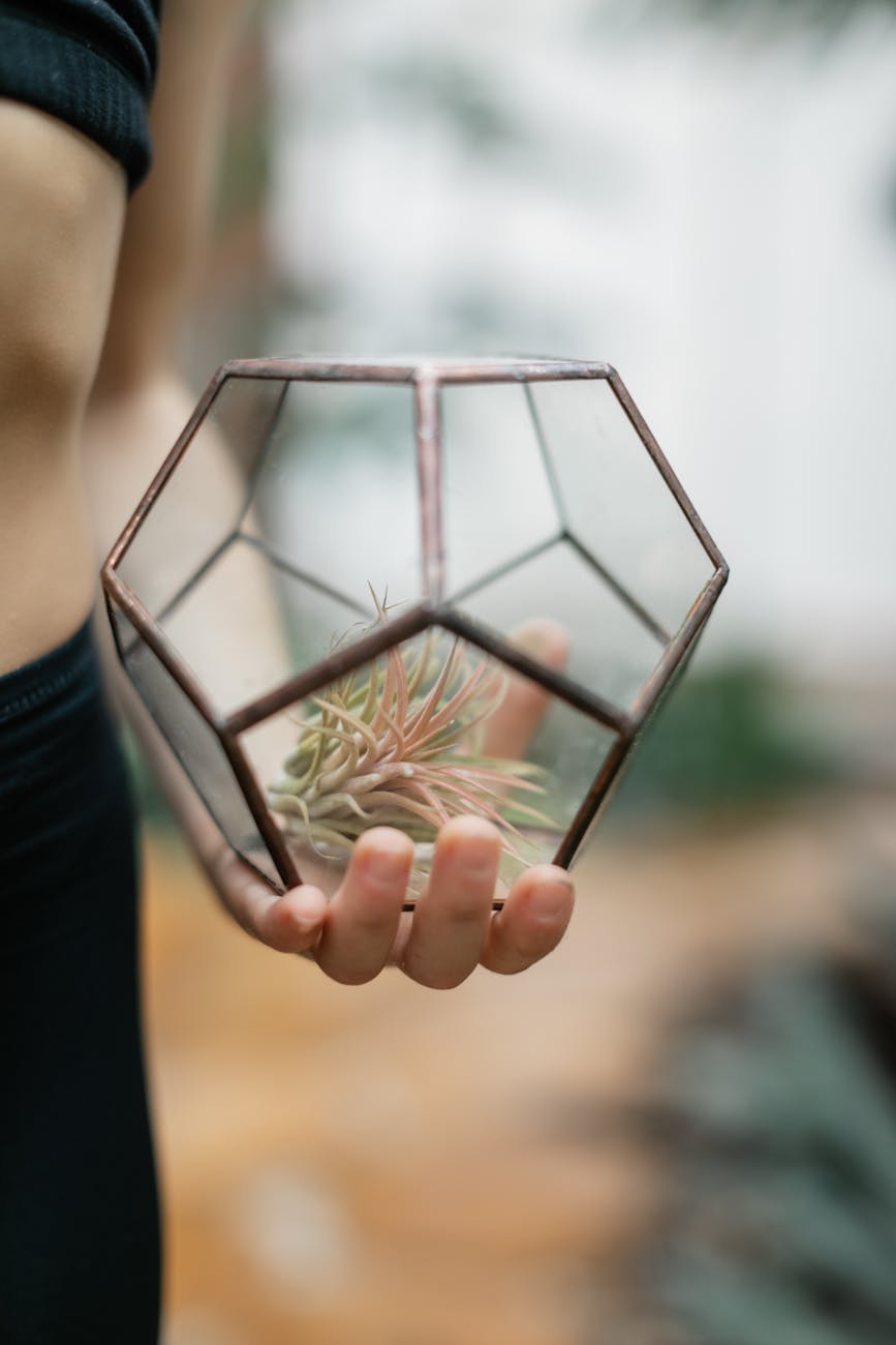 hand holding glass ball with plant