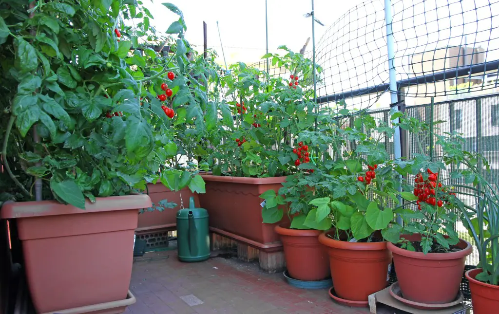 Balcony Garden