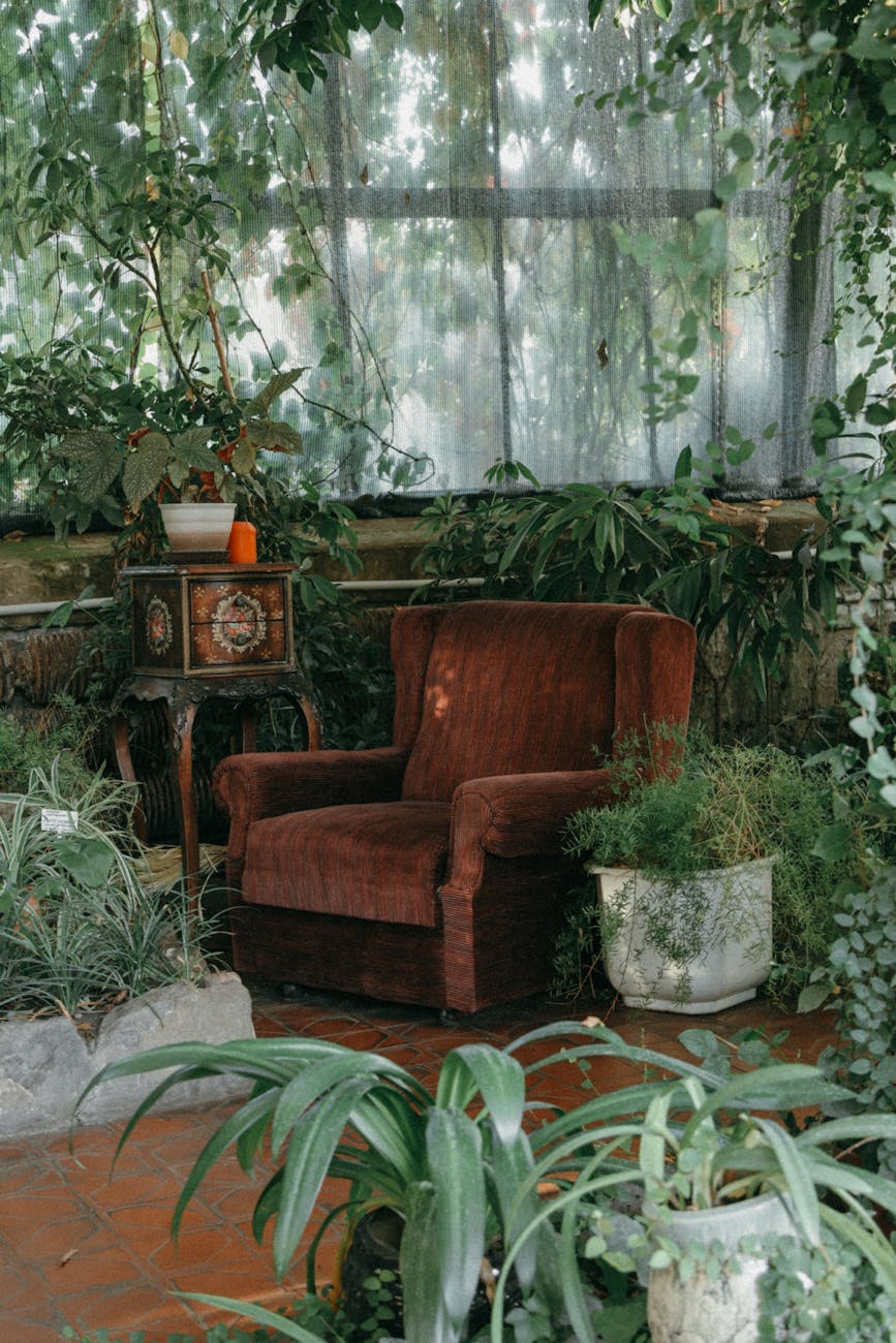 cozy armchair in lush indoor greenhouse setting. Low light houseplants