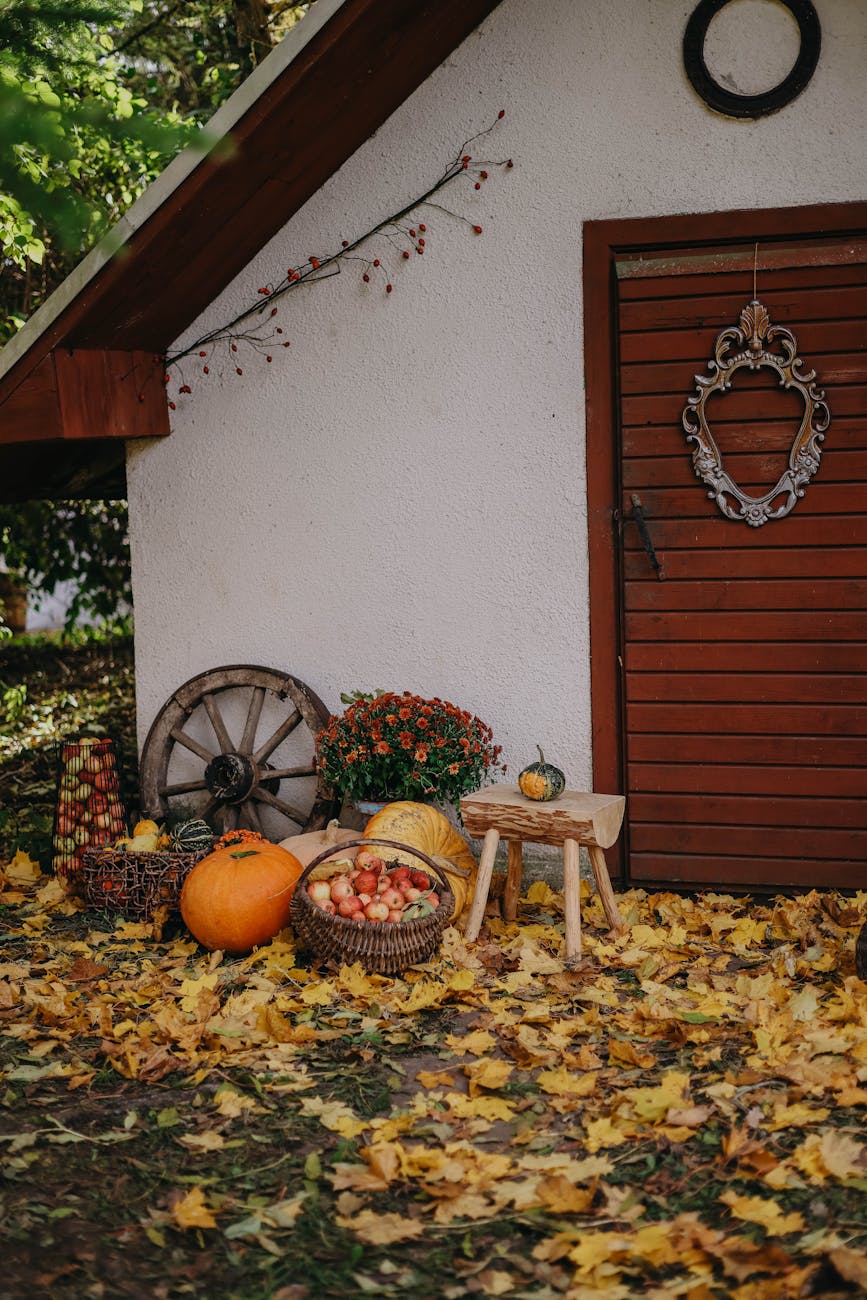 halloween decoration in yard